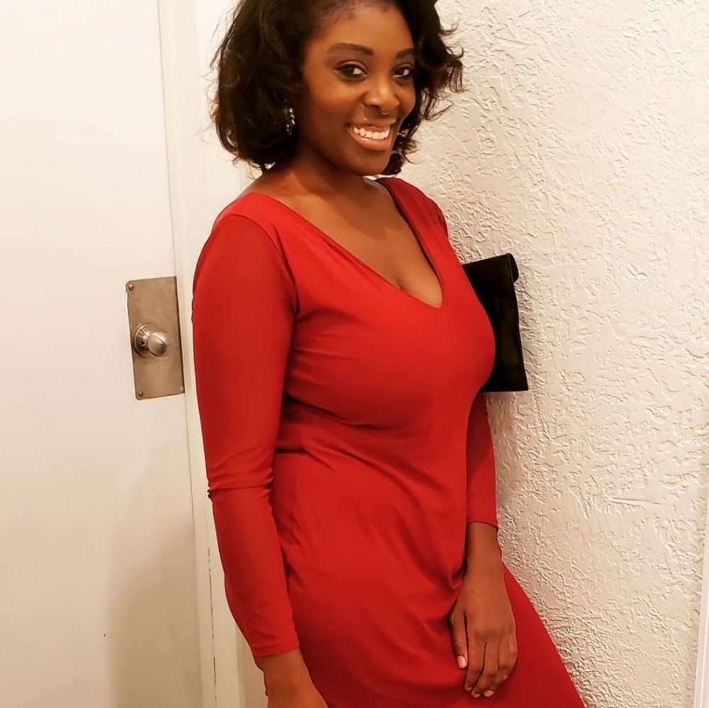PLT Plus Burgundy slinky mesh sleeve dress